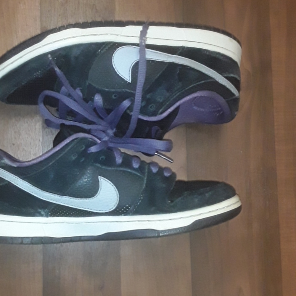Nike Dunks SB